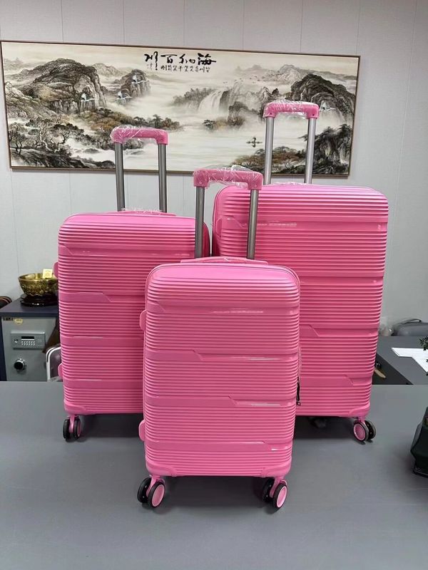 OEM Бизнес Carry-On 20 24 28 дюймовый PP чемодан для путешествий и работы