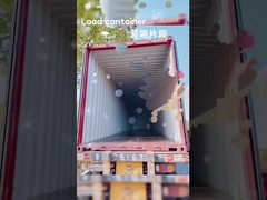 Многоцветный детский чемодан 30L с телескопической ручкой